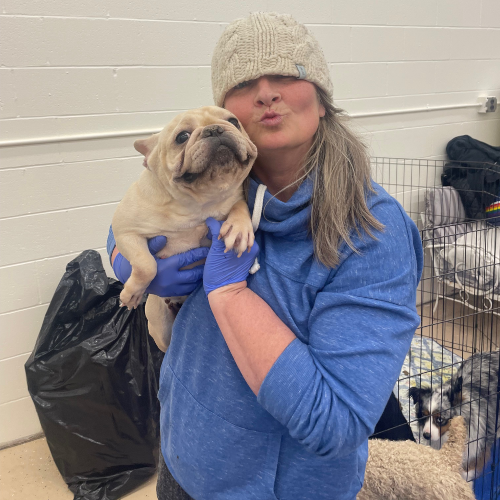 Tammy Coe holding a french bulldog